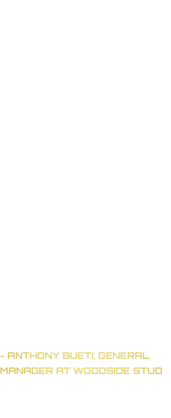 Statistically Dubawi is the most successful sire to ever stand in Great Britain with 271 stakes winners, 179 of Group...