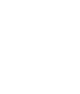(Sire) DUBAWI (IRE) (Dam) NAHRAIN (GB) 2008