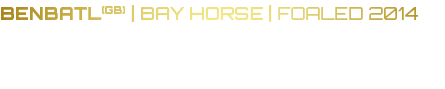 BENBATL(GB) | Bay horse | Foaled 2014